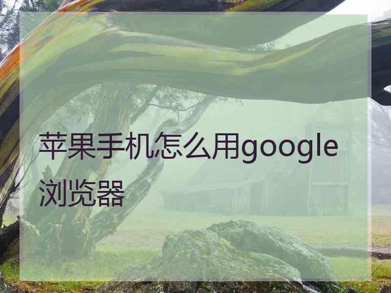 苹果手机怎么用google浏览器