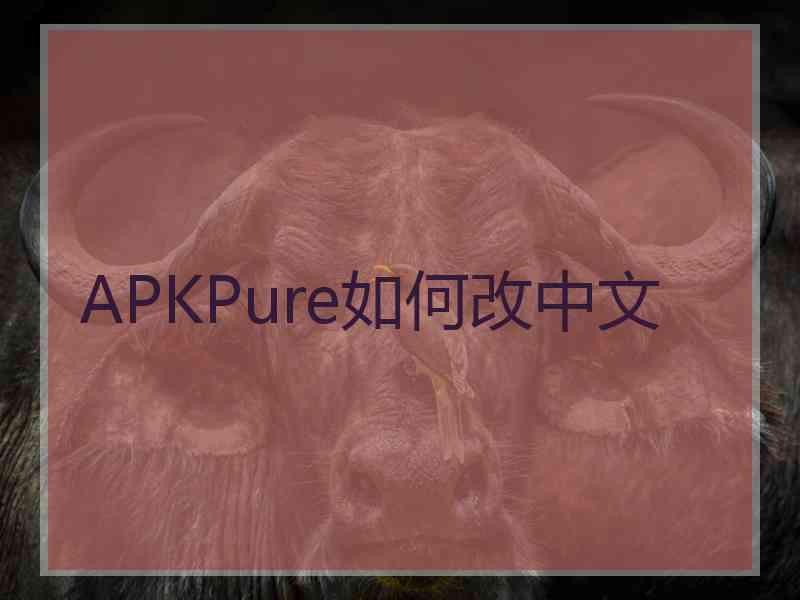 APKPure如何改中文