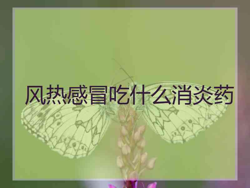 风热感冒吃什么消炎药