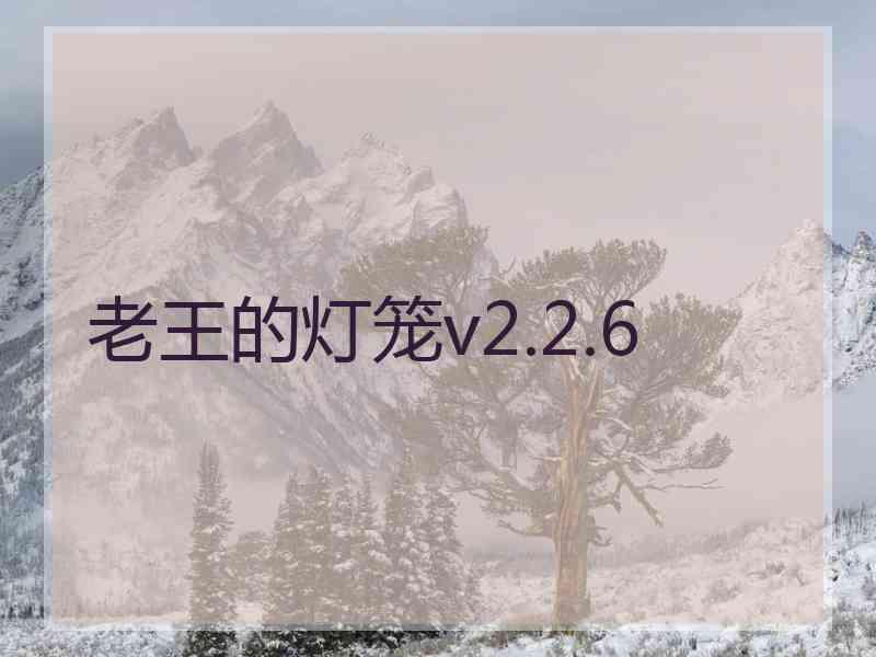 老王的灯笼v2.2.6