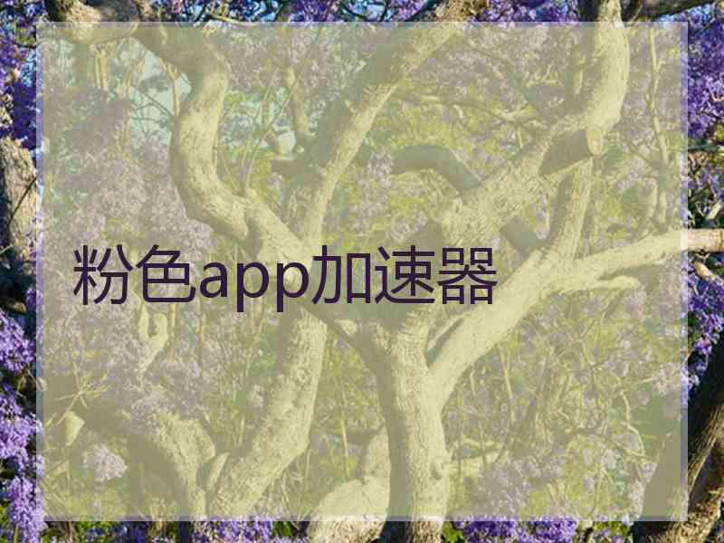 粉色app加速器