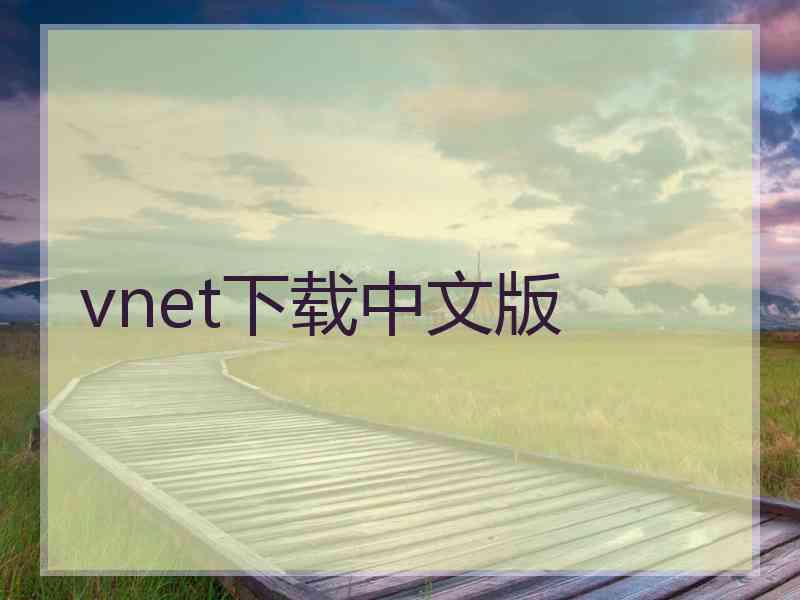 vnet下载中文版