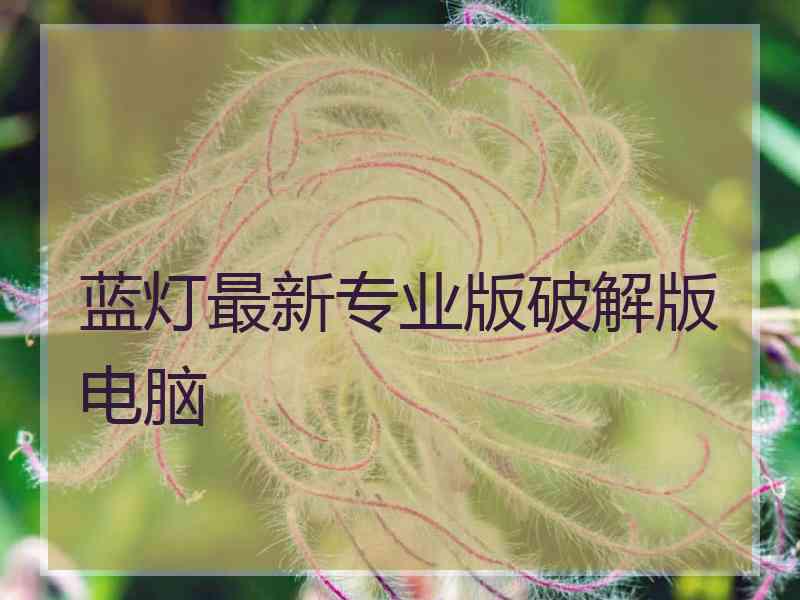 蓝灯最新专业版破解版电脑