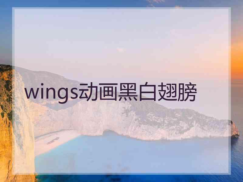 wings动画黑白翅膀