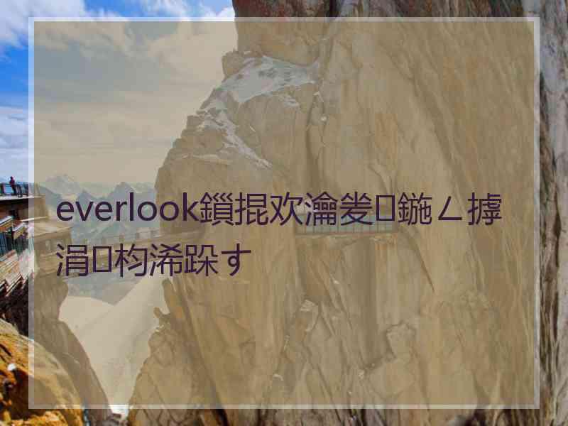 everlook鎻掍欢瀹夎鍦ㄥ摢涓枃浠跺す