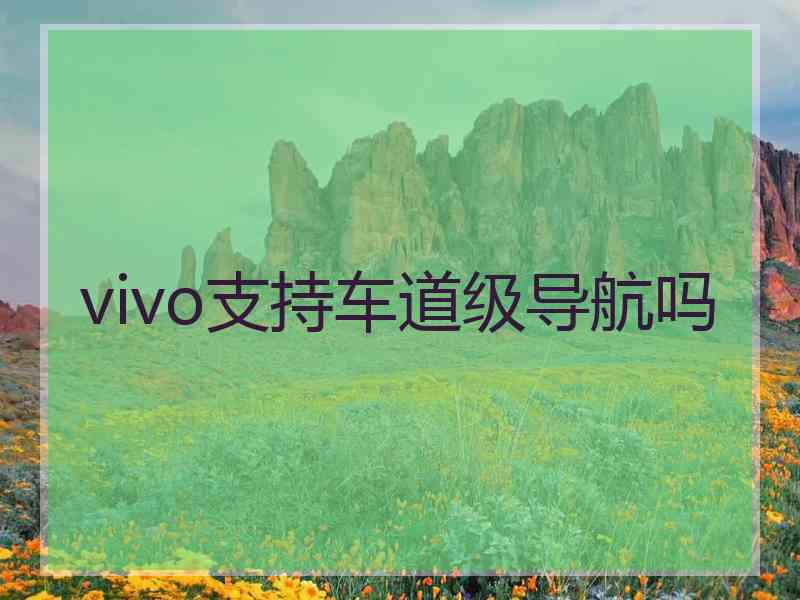 vivo支持车道级导航吗