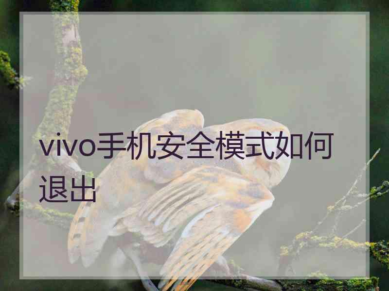 vivo手机安全模式如何退出