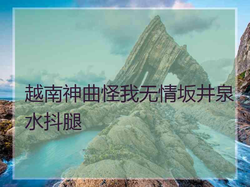 越南神曲怪我无情坂井泉水抖腿