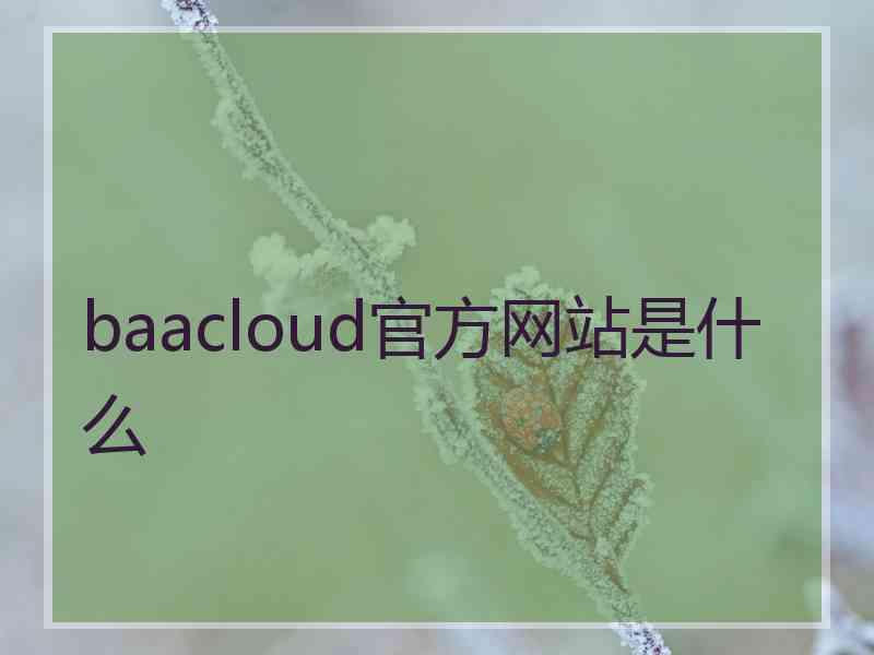 baacloud官方网站是什么