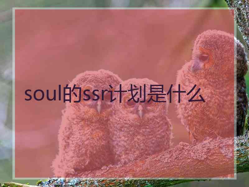 soul的ssr计划是什么