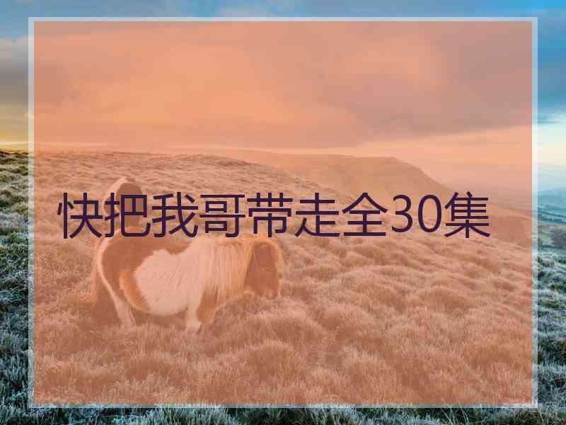 快把我哥带走全30集