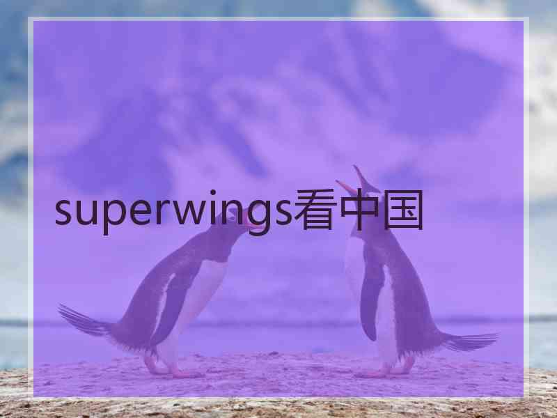 superwings看中国