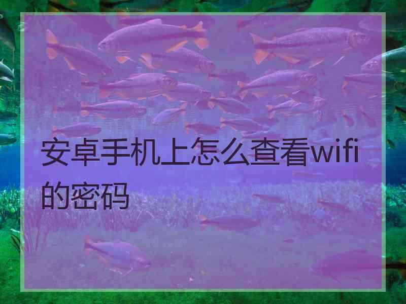 安卓手机上怎么查看wifi的密码