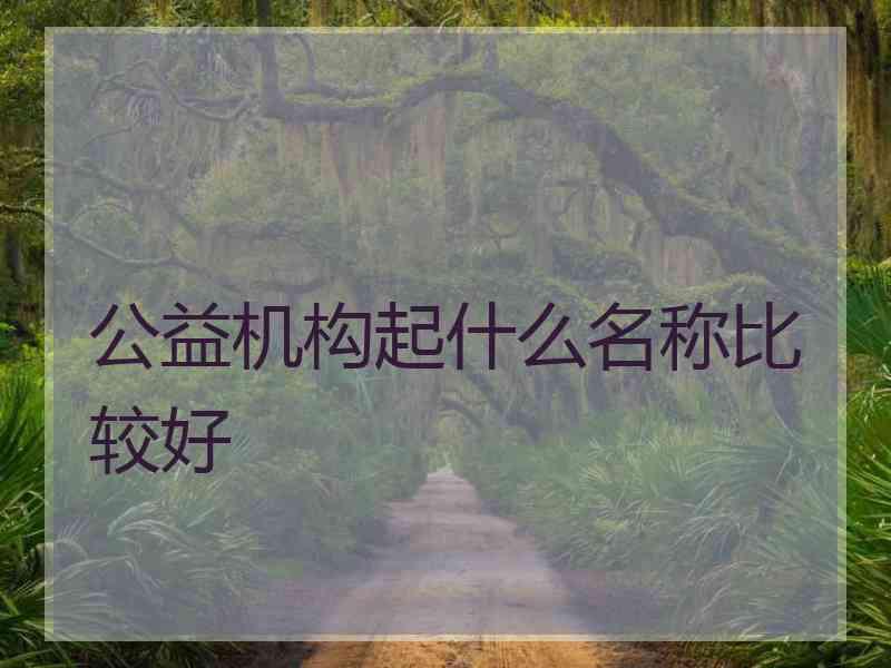 公益机构起什么名称比较好