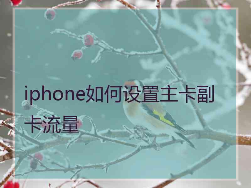 iphone如何设置主卡副卡流量