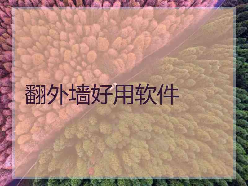 翻外墙好用软件