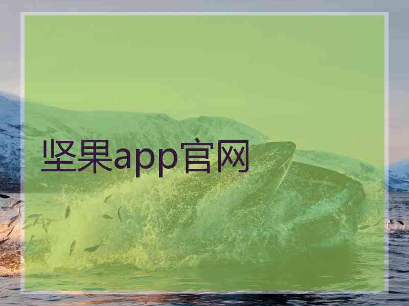 坚果app官网