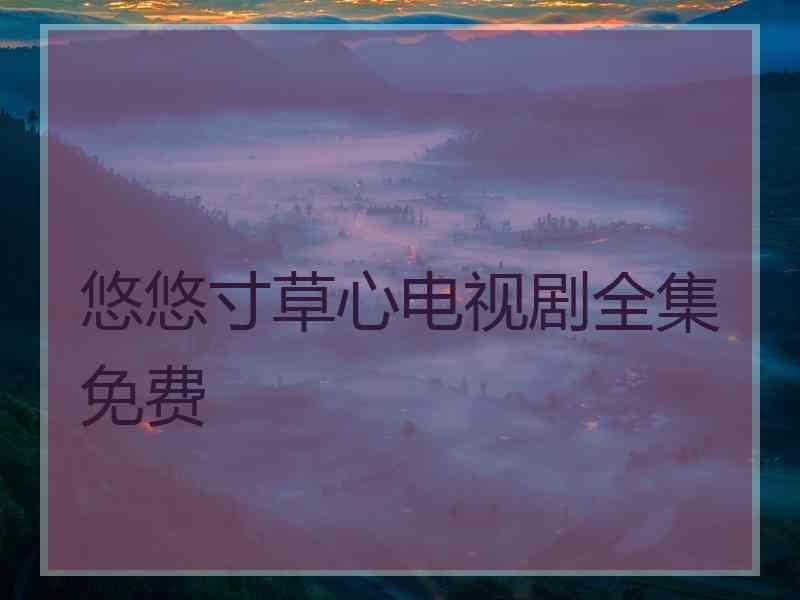 悠悠寸草心电视剧全集免费