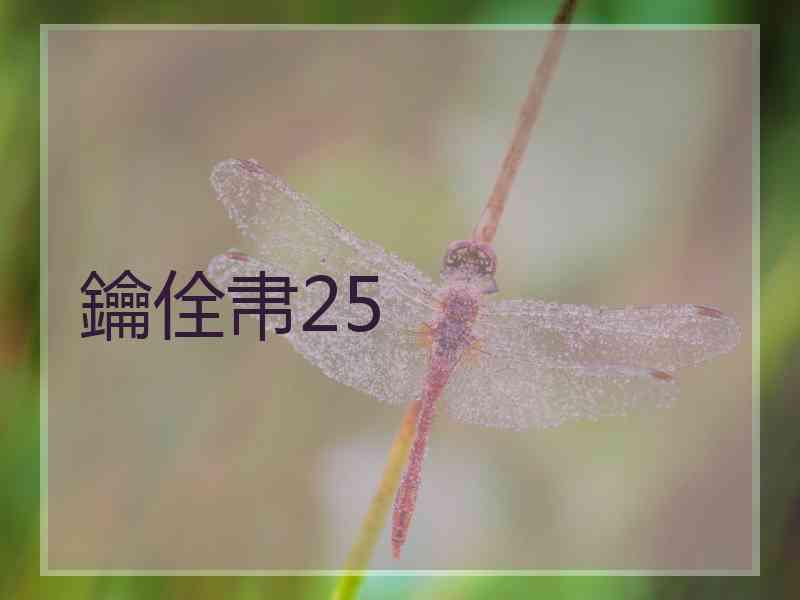 鑰佺帇25