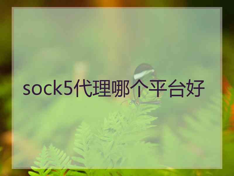 sock5代理哪个平台好