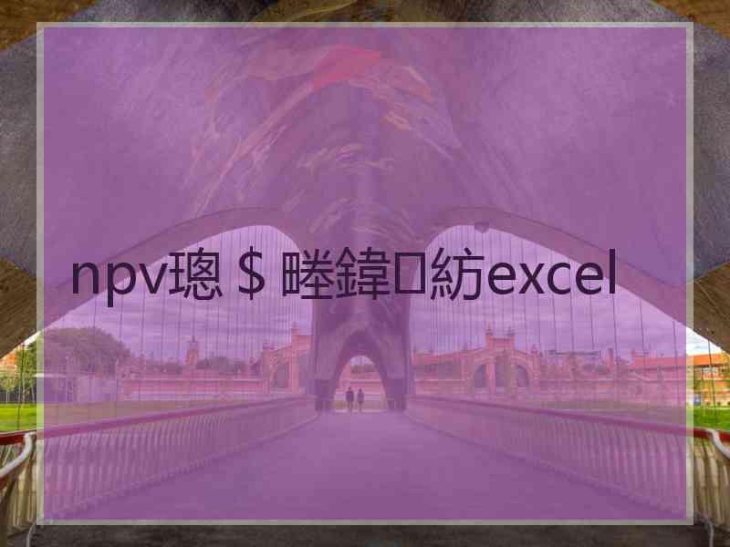 npv璁＄畻鍏紡excel