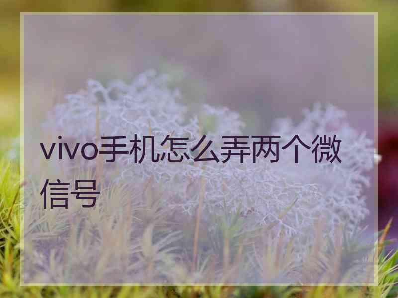 vivo手机怎么弄两个微信号