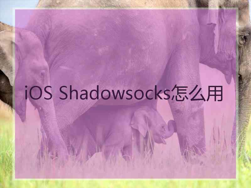 iOS Shadowsocks怎么用