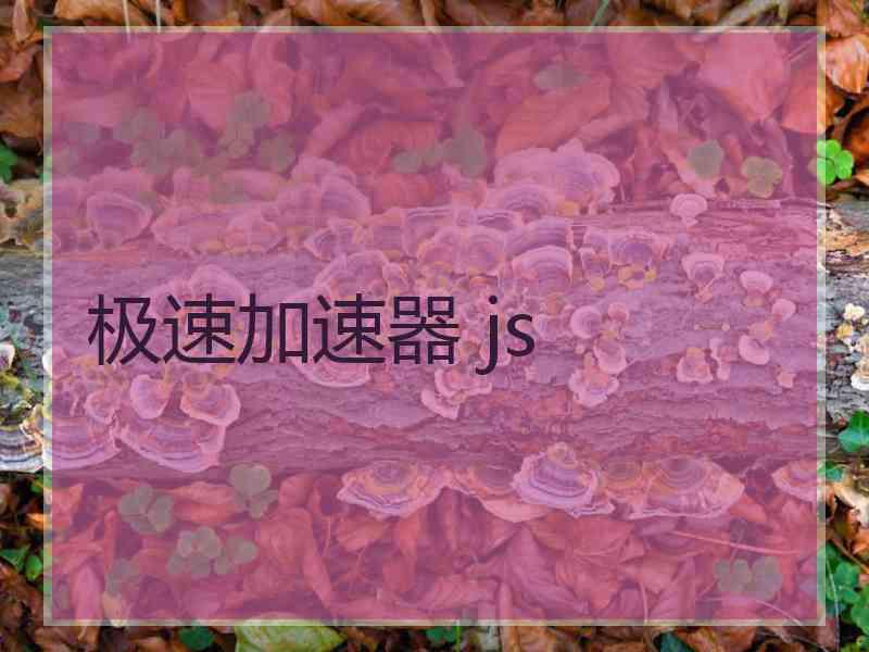 极速加速器 js