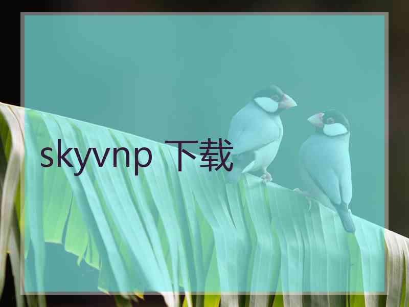 skyvnp 下载