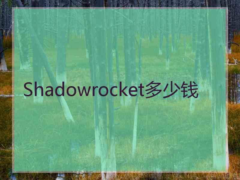 Shadowrocket多少钱