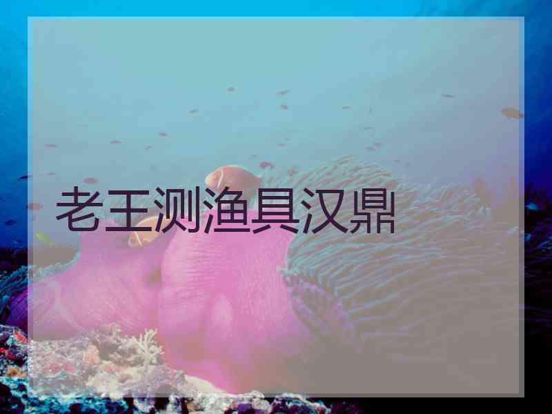 老王测渔具汉鼎