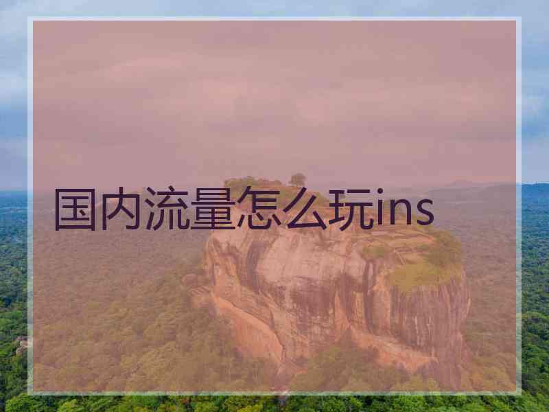 国内流量怎么玩ins