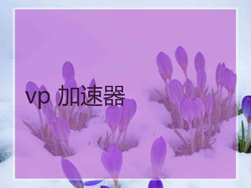 vp 加速器