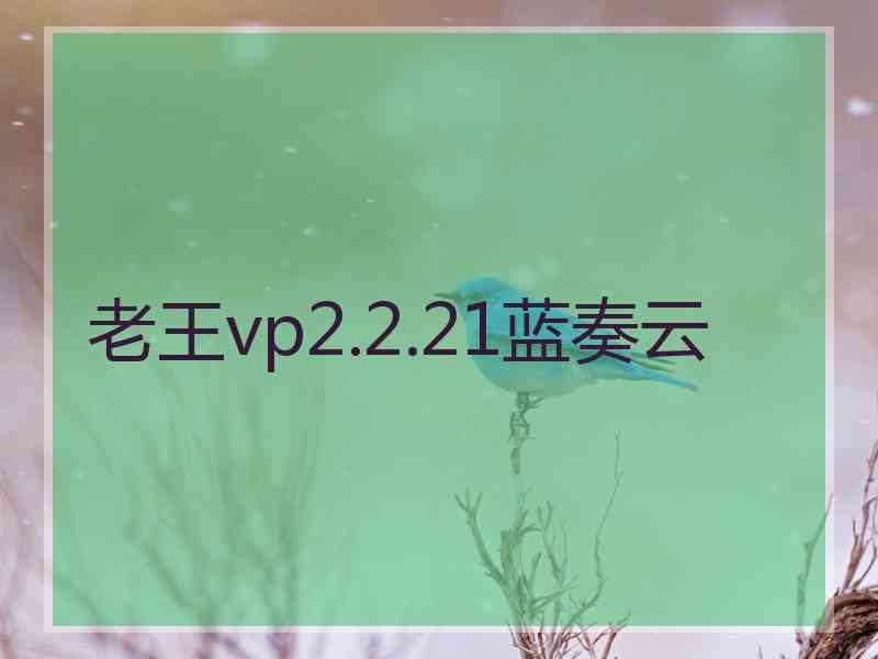 老王vp2.2.21蓝奏云