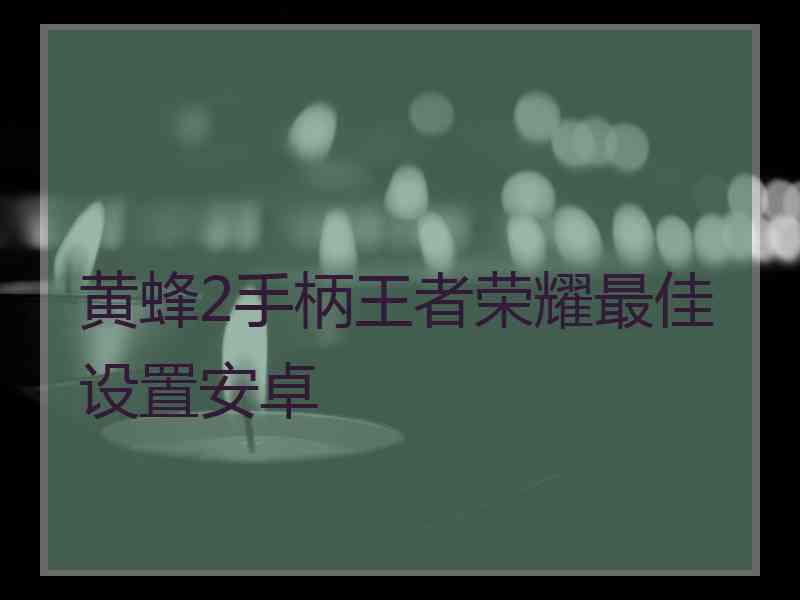 黄蜂2手柄王者荣耀最佳设置安卓