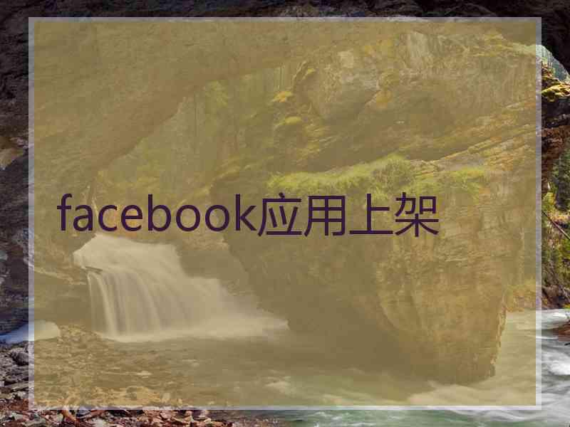 facebook应用上架