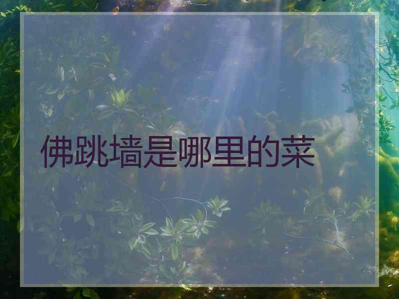 佛跳墙是哪里的菜