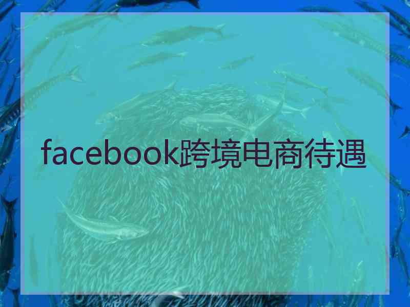 facebook跨境电商待遇