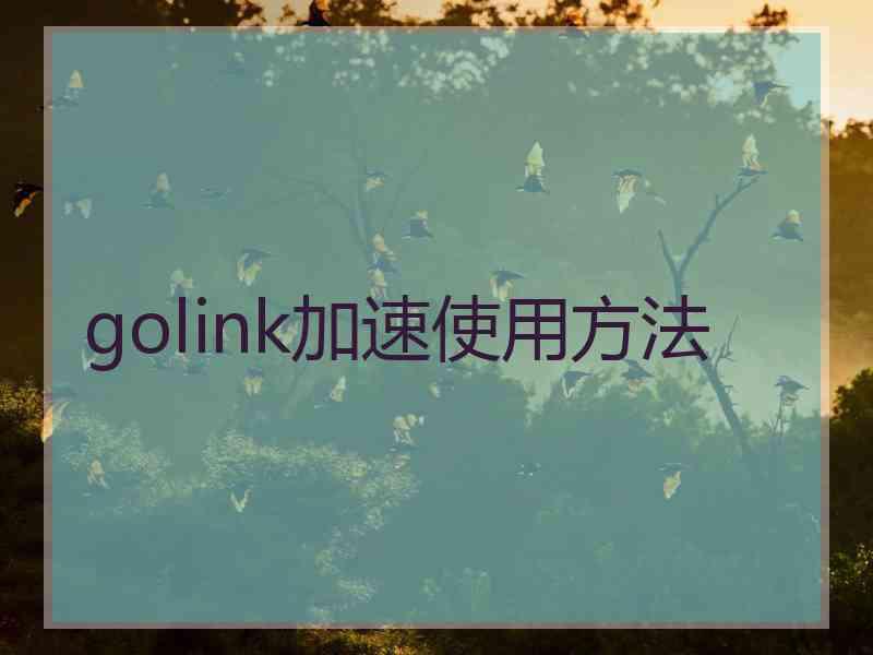 golink加速使用方法