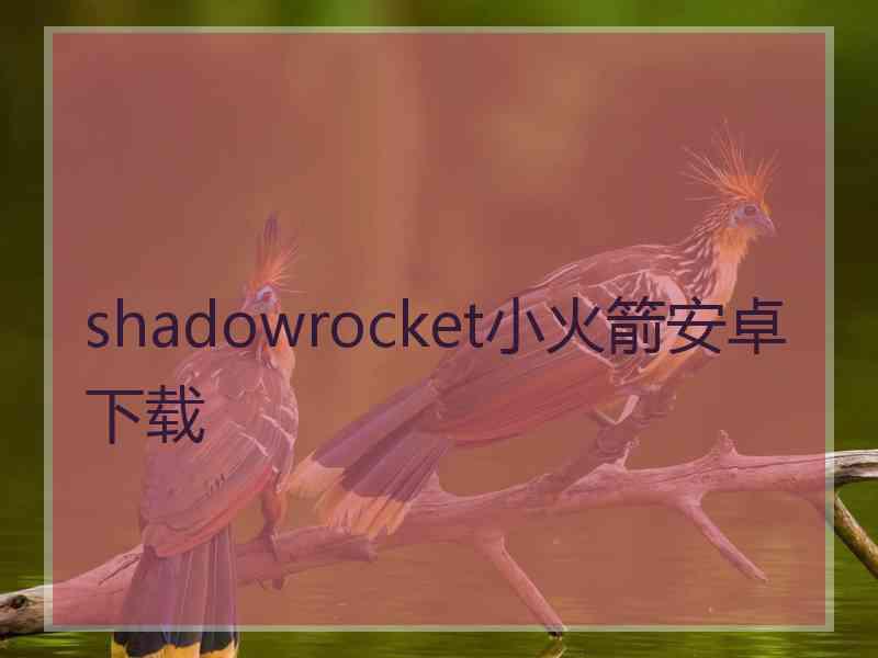 shadowrocket小火箭安卓下载