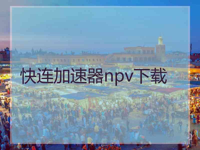 快连加速器npv下载