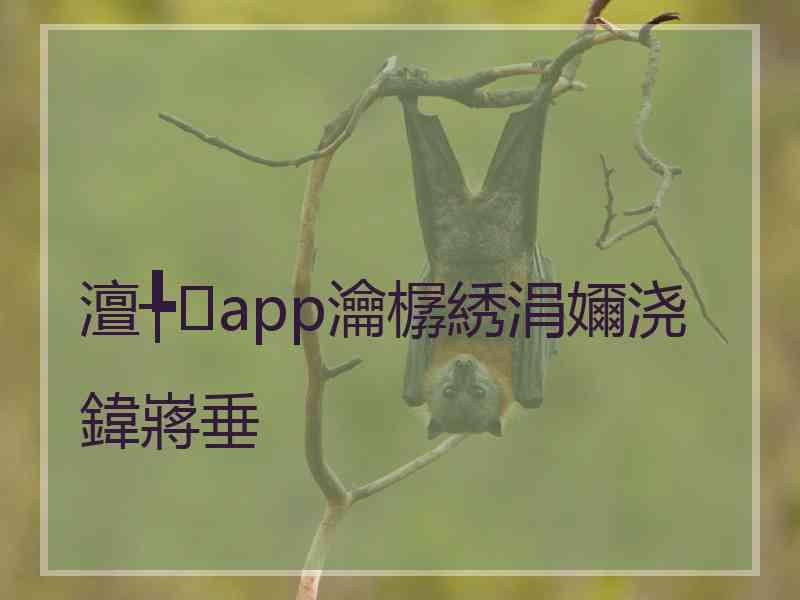 澶╄app瀹樼綉涓嬭浇鍏嶈垂