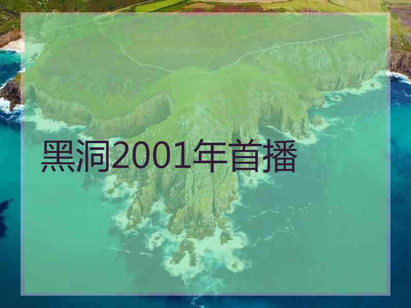 黑洞2001年首播