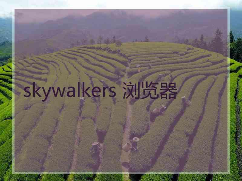 skywalkers 浏览器