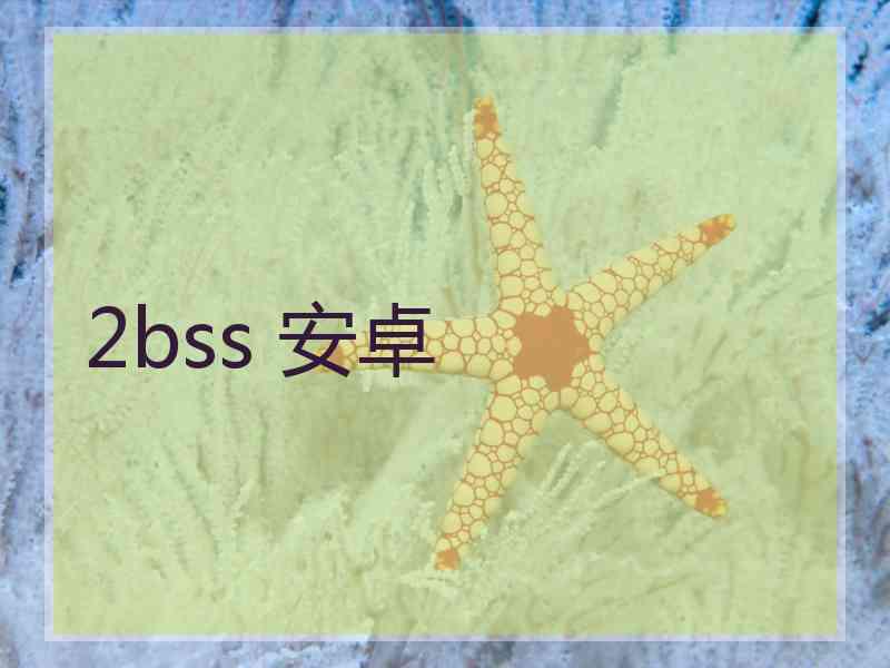 2bss 安卓