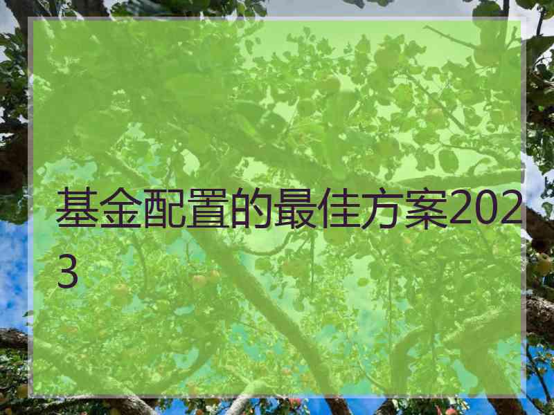 基金配置的最佳方案2023