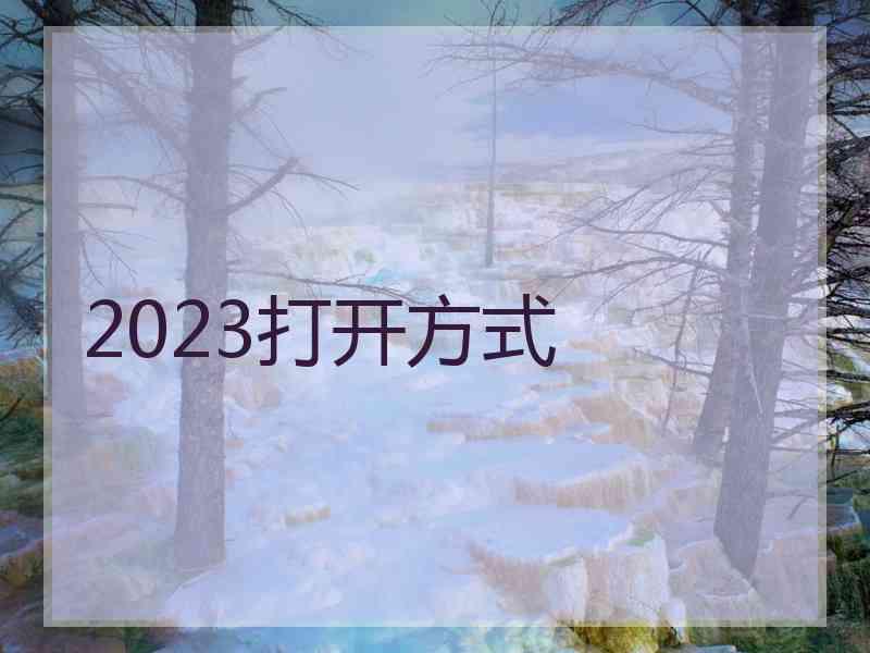 2023打开方式