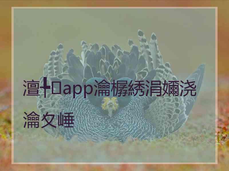 澶╄app瀹樼綉涓嬭浇瀹夊崜