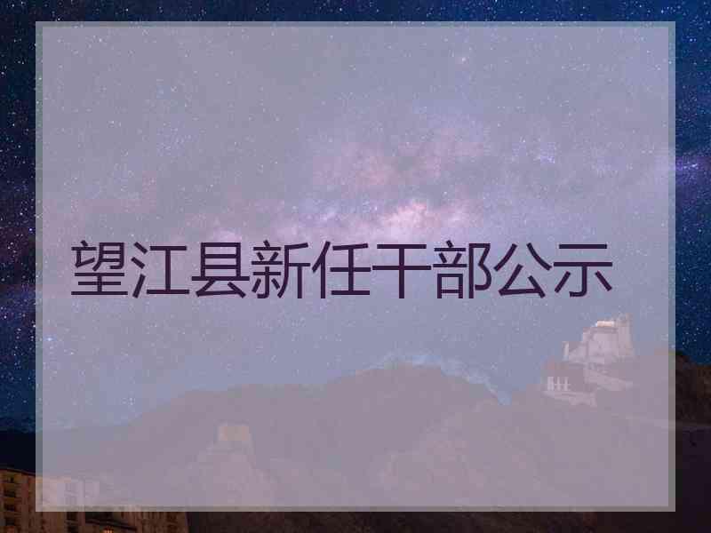 望江县新任干部公示