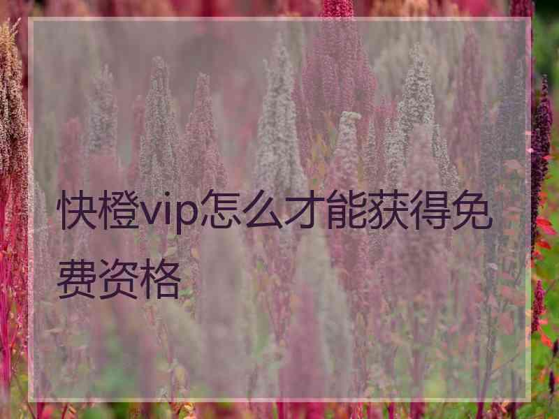 快橙vip怎么才能获得免费资格